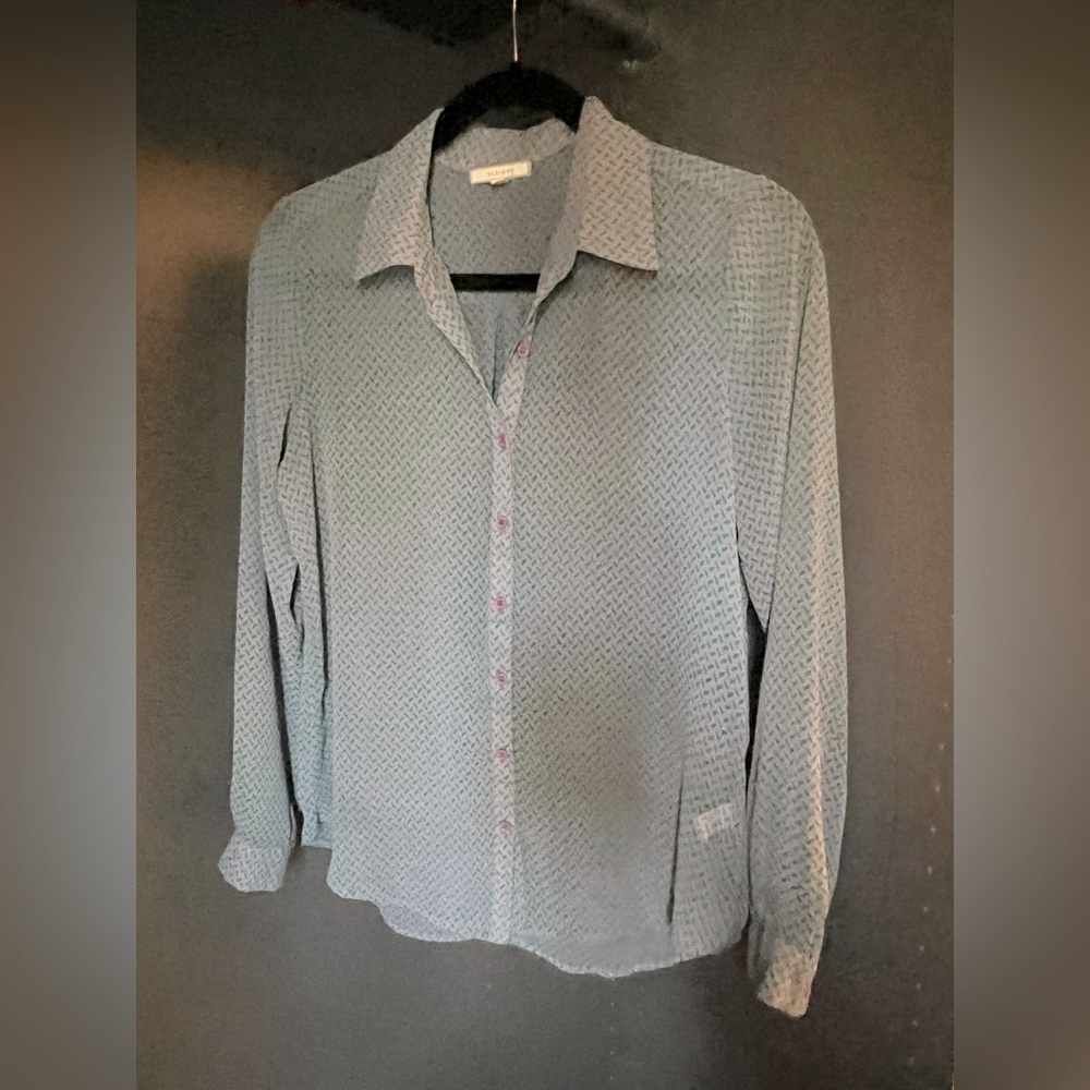 Pleione Semi Sheer Blouse